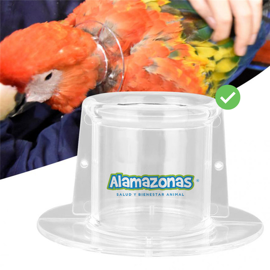 Collarin Protector Anti Picaje Antiagarre