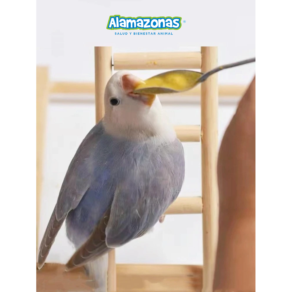Cuchara para empapillar loros y periquitos (alimentación manual) 1 pz Alamazonas®