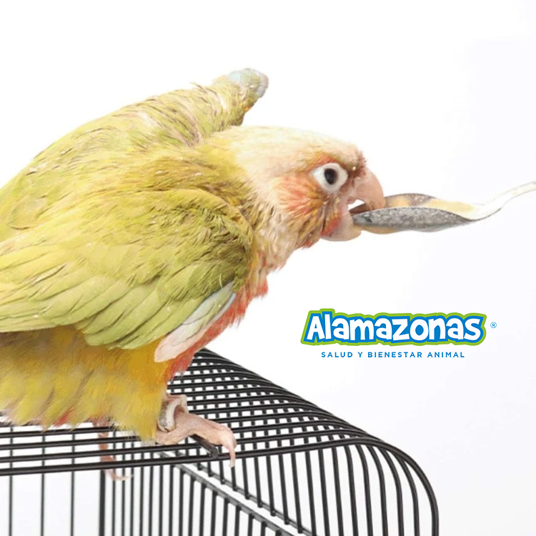 Cuchara para empapillar loros y periquitos (alimentación manual) 1 pz Alamazonas®