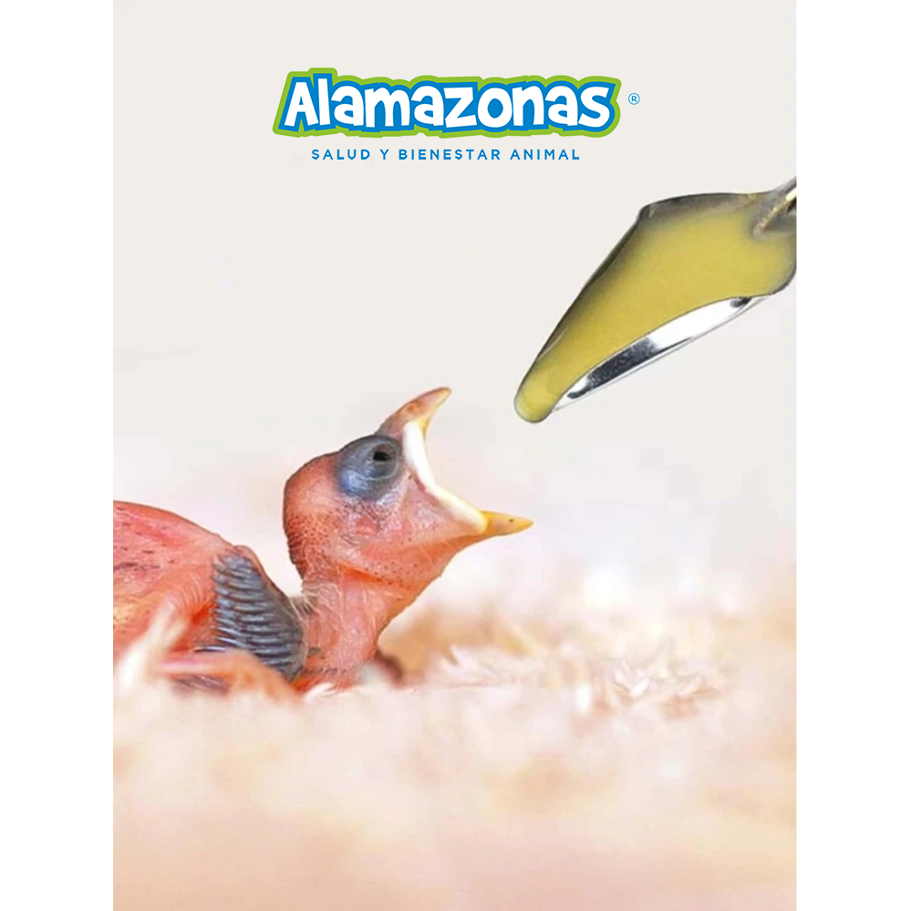 Cuchara para empapillar loros y periquitos (alimentación manual) 1 pz Alamazonas®