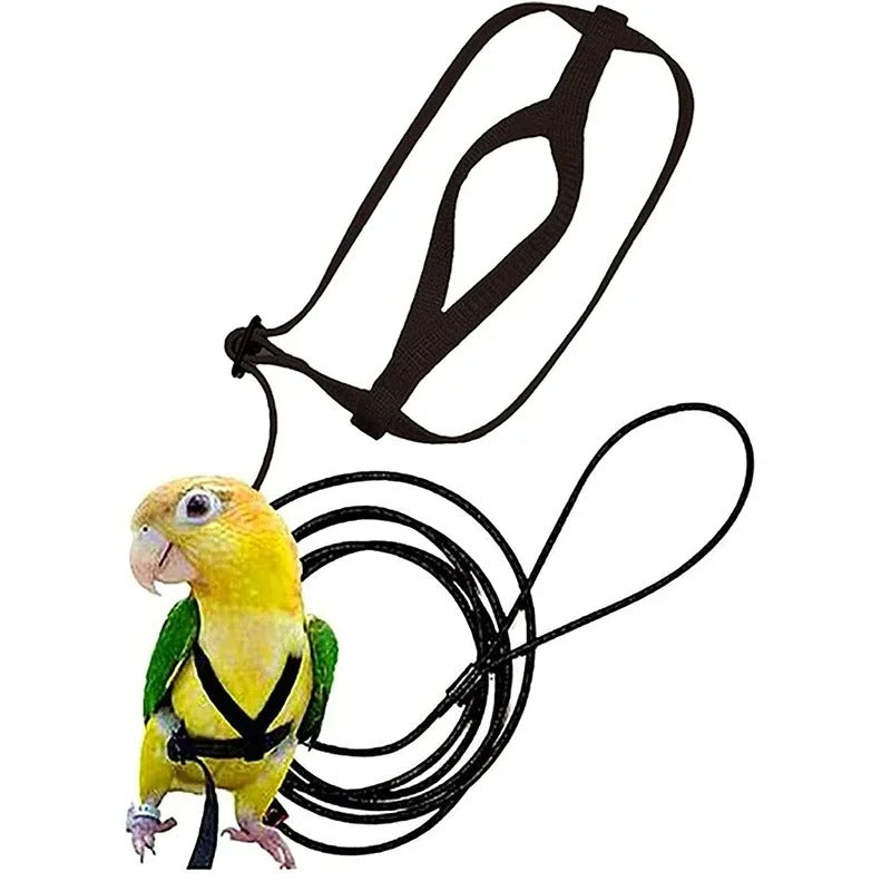 Árnes Correa para Guacamayas Extra Grande