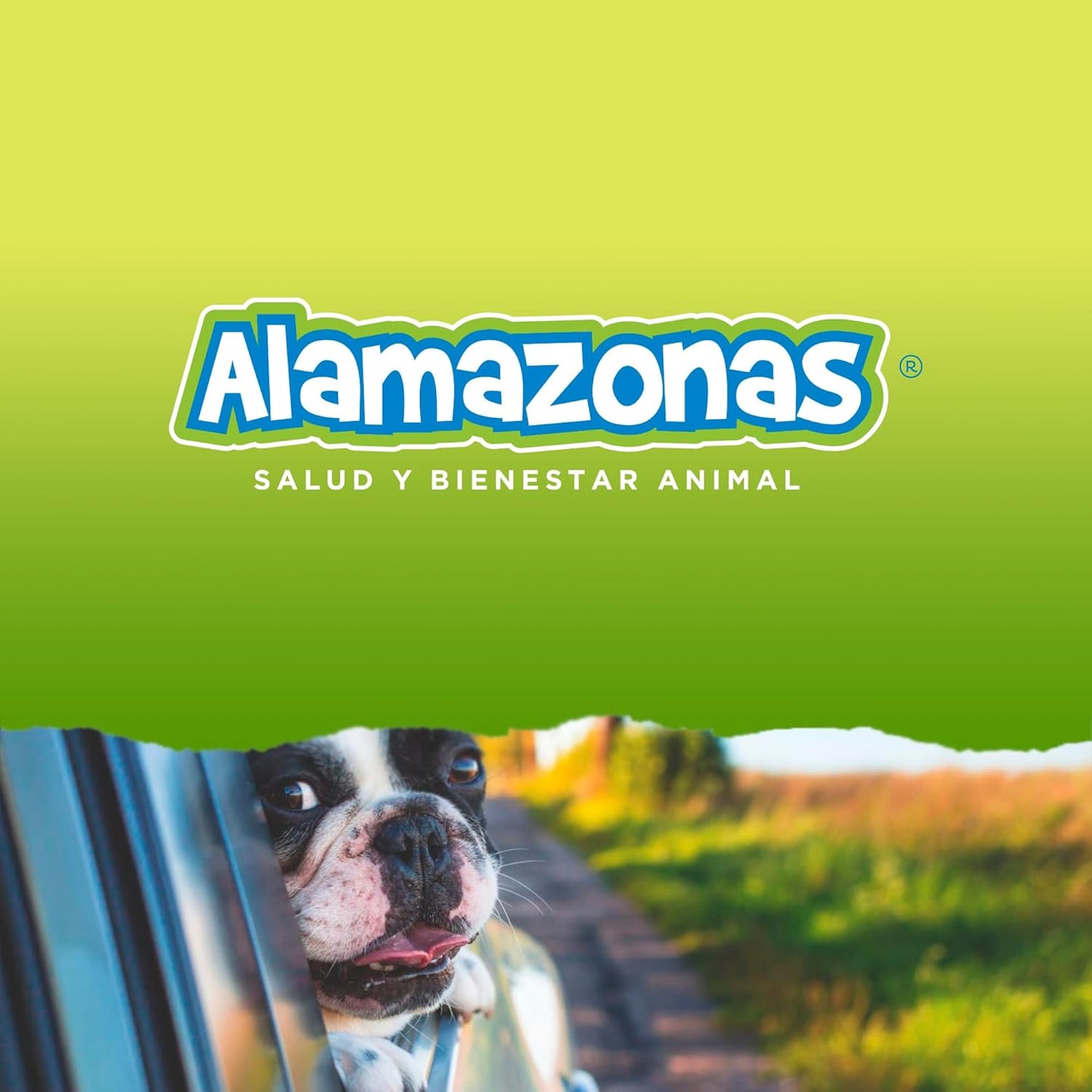 Fórmula Croquetas Para Loros Psitacidos Y Guacamayas (Aves Grandes)