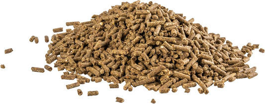 Alimento para Chinchilla 1 Kg