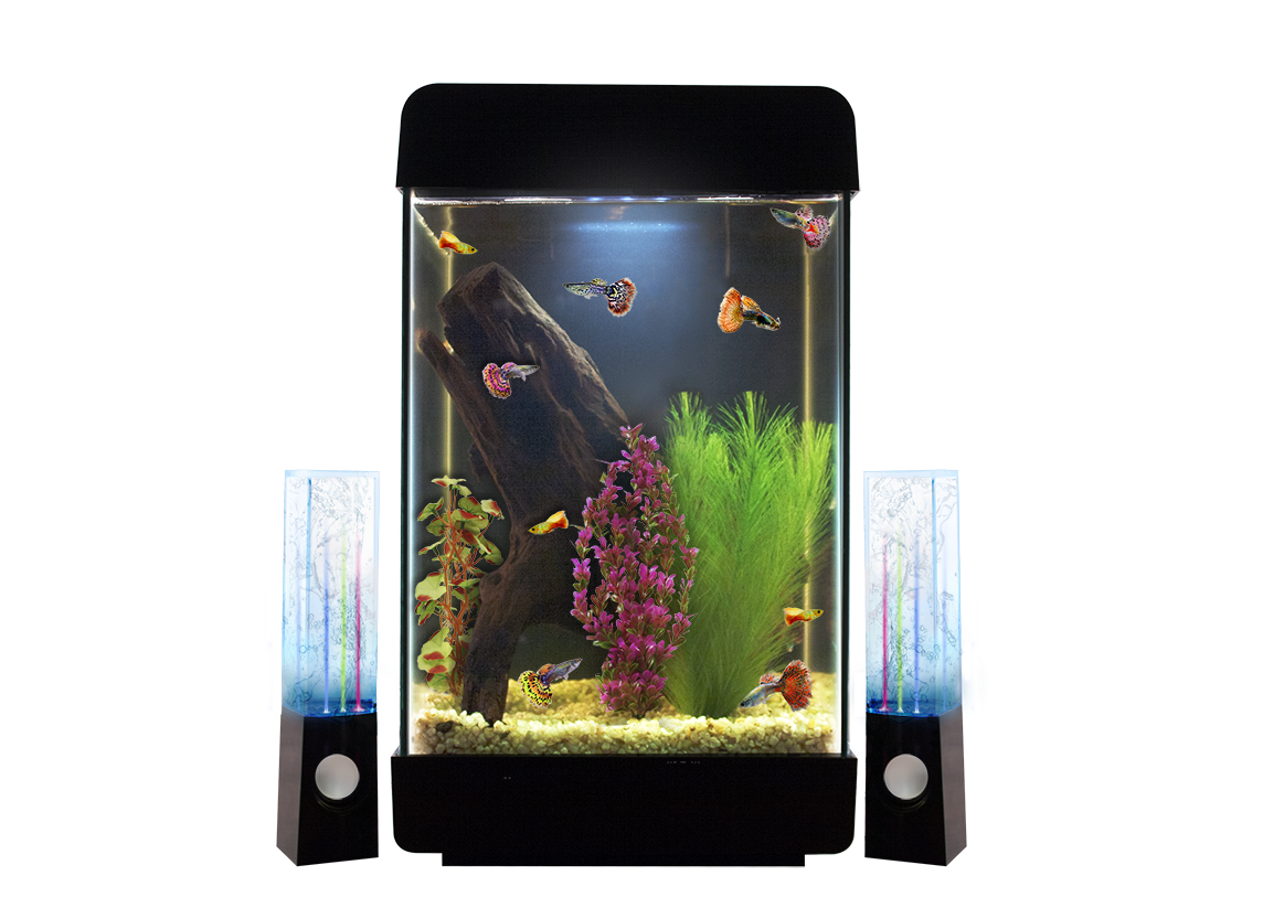 Kit De Acuario Jukebox 5 Gal