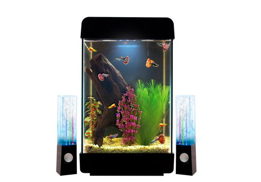 Kit De Acuario Jukebox 5 Gal