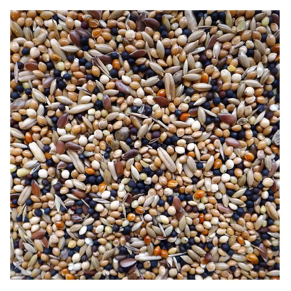 Alimento Mantenimiento para Finches y Canarios Alamazonas®