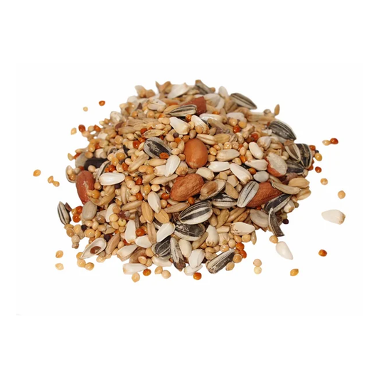 Alimento Mantenimiento para Loros, Cacatúas y Guacamayas