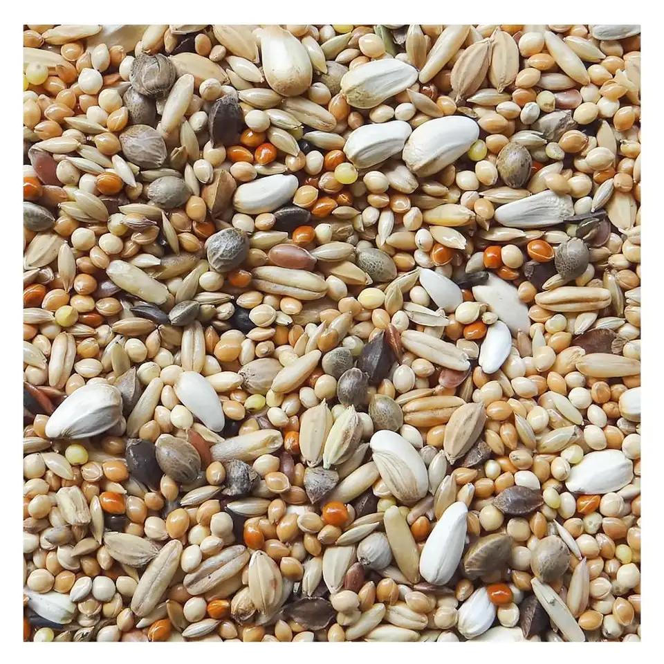 Alimento Mantenimiento Para Periquitos Australianos Budgies