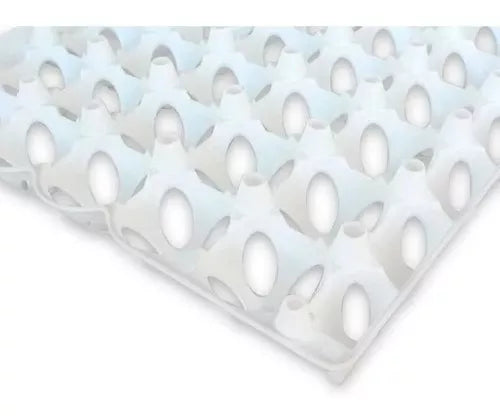 Charola Filler Para 30 Huevos