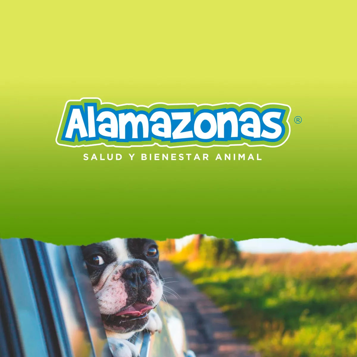 Nido Para Periquitos Australianos Y Similares