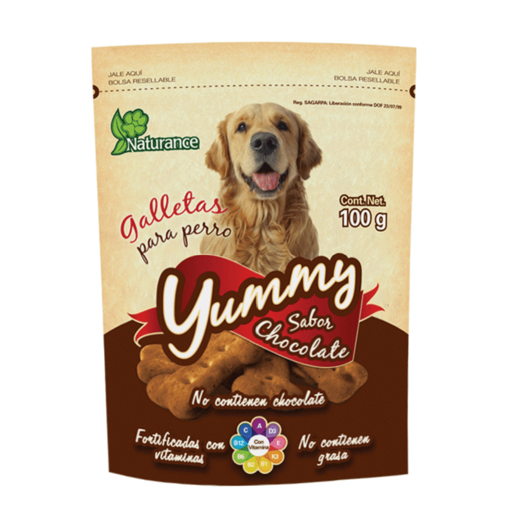 YUMMY SABOR CHOCOLATE 100 G