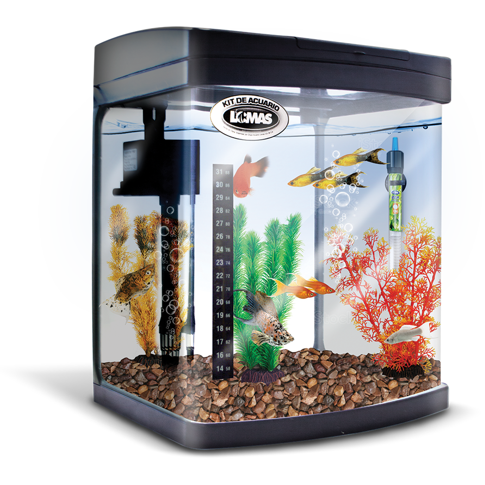 Kit Equipado Acuario Rectangular Negro 25 Lt
