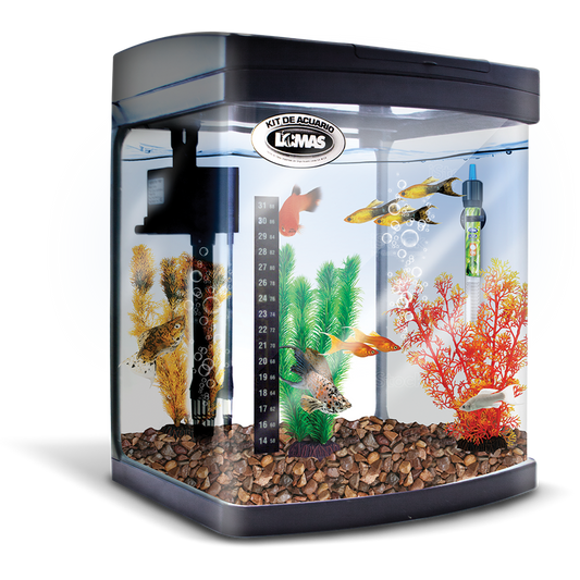 Kit Equipado Acuario Rectangular Negro 25 Lt