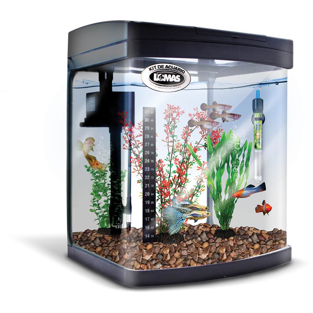 Kit Equipado Acuario Rectangular Negro 35 Lt