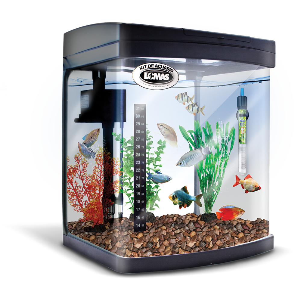 Kit Equipado Acuario Rectangular Negro 56 Lt
