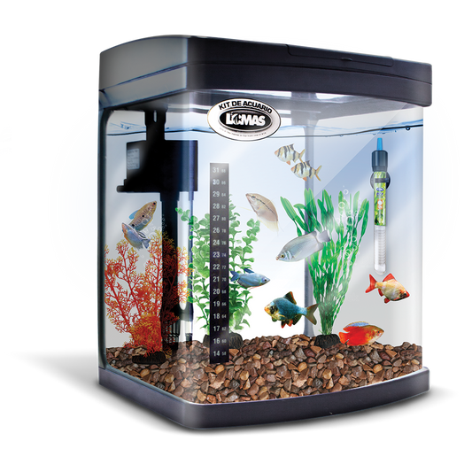 Kit Equipado Acuario Rectangular Negro 56 Lt