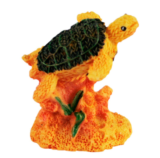 TORTUGA ARENA CH