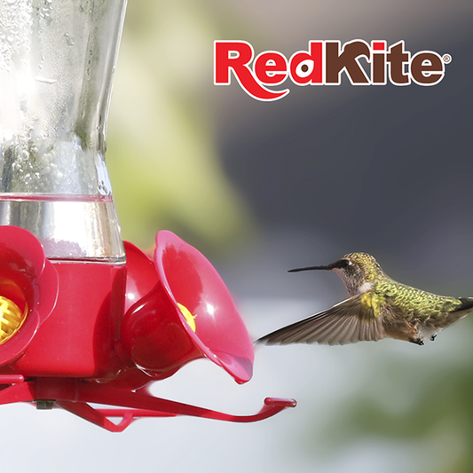 Néctar Líquido para Colibrí sin Colorante