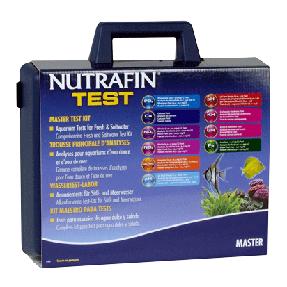 Kit Maestro P/Test
