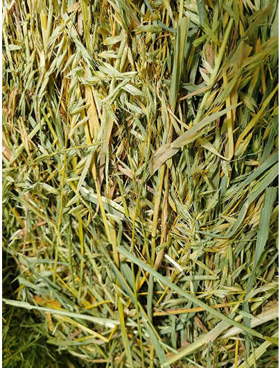 Heno Orgánico Alamazonas 2kg