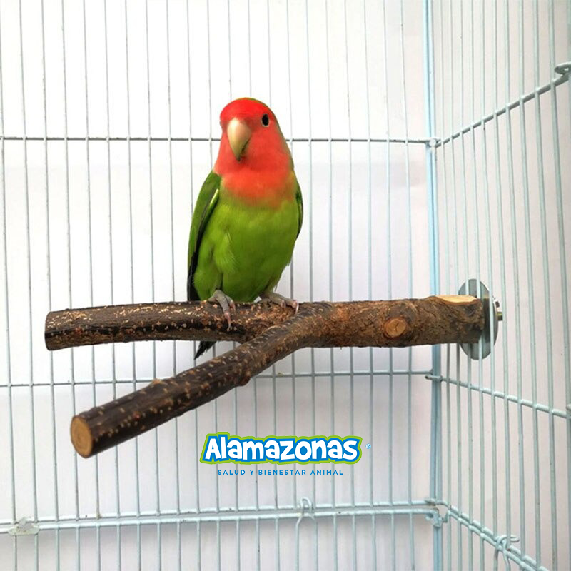 Palo Paradero Percha Natural Horquilla Madera 15cm Alamazonas®
