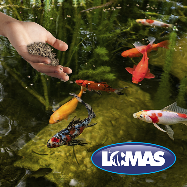 Alimento Peces De Estanque Carpa Koi Pond Stixs Lomas