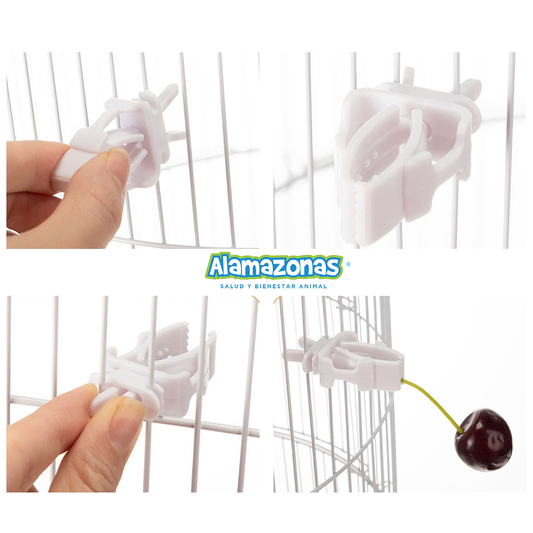 Pinza de plástico Lechuguera o porta fruta para aves y Canarios Alamazonas®