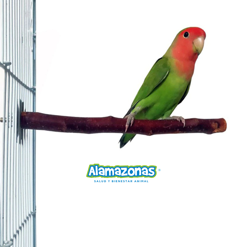 Palo Paradero Percha Natural Recto Madera 15cm Alamazonas®