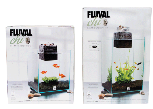 Kit Acuario Fluval Chi Ii