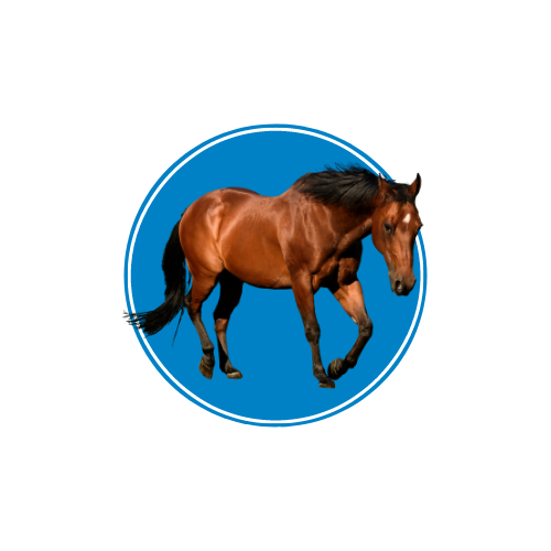 Caballos