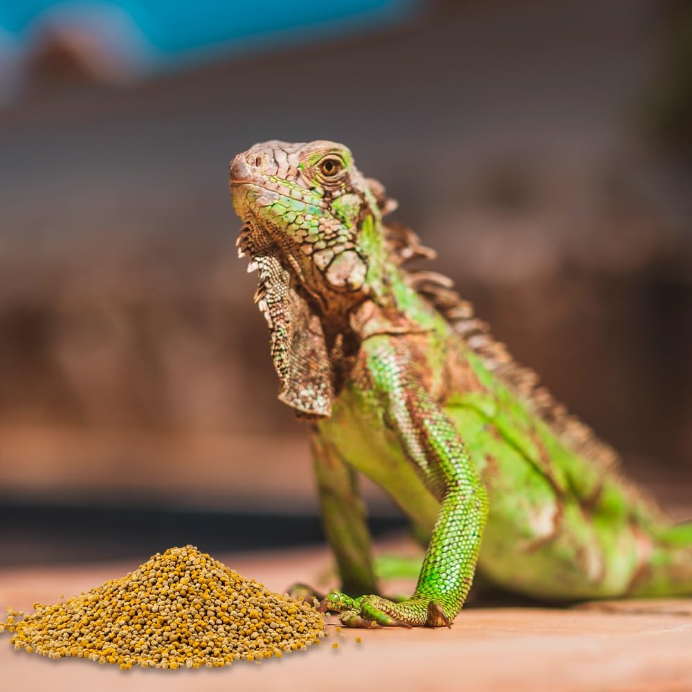 Alimento para Iguana Juvenil