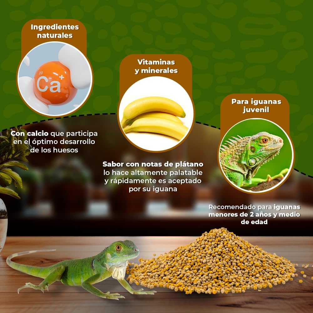 Alimento para Iguana Juvenil