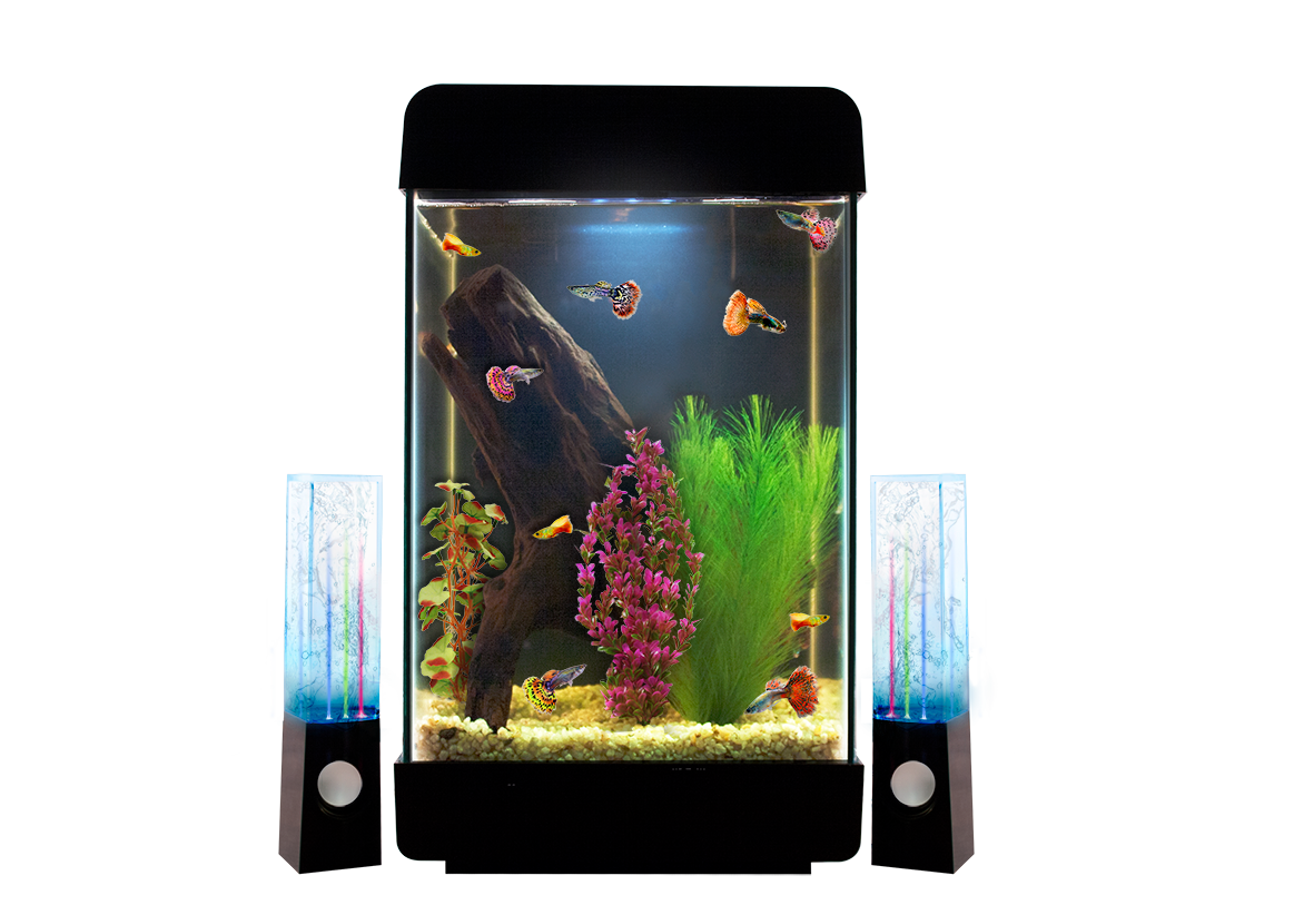 Kit De Acuario Jukebox 5 Gal