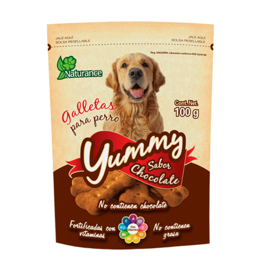 YUMMY SABOR CHOCOLATE 100 G