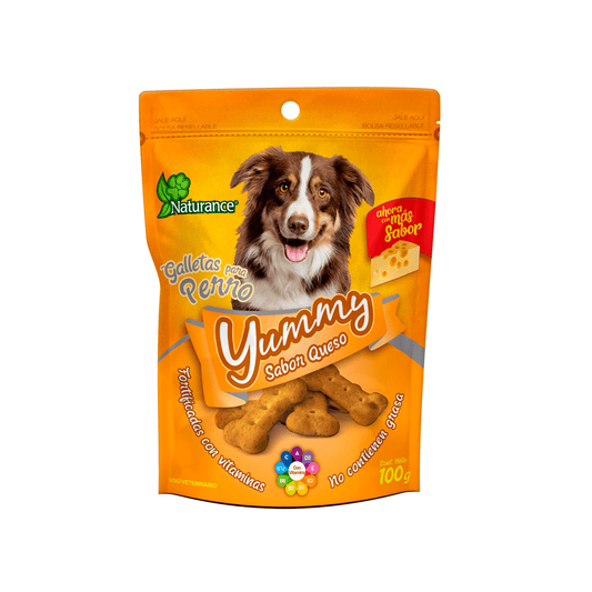 YUMMY SABOR QUESO 100 G