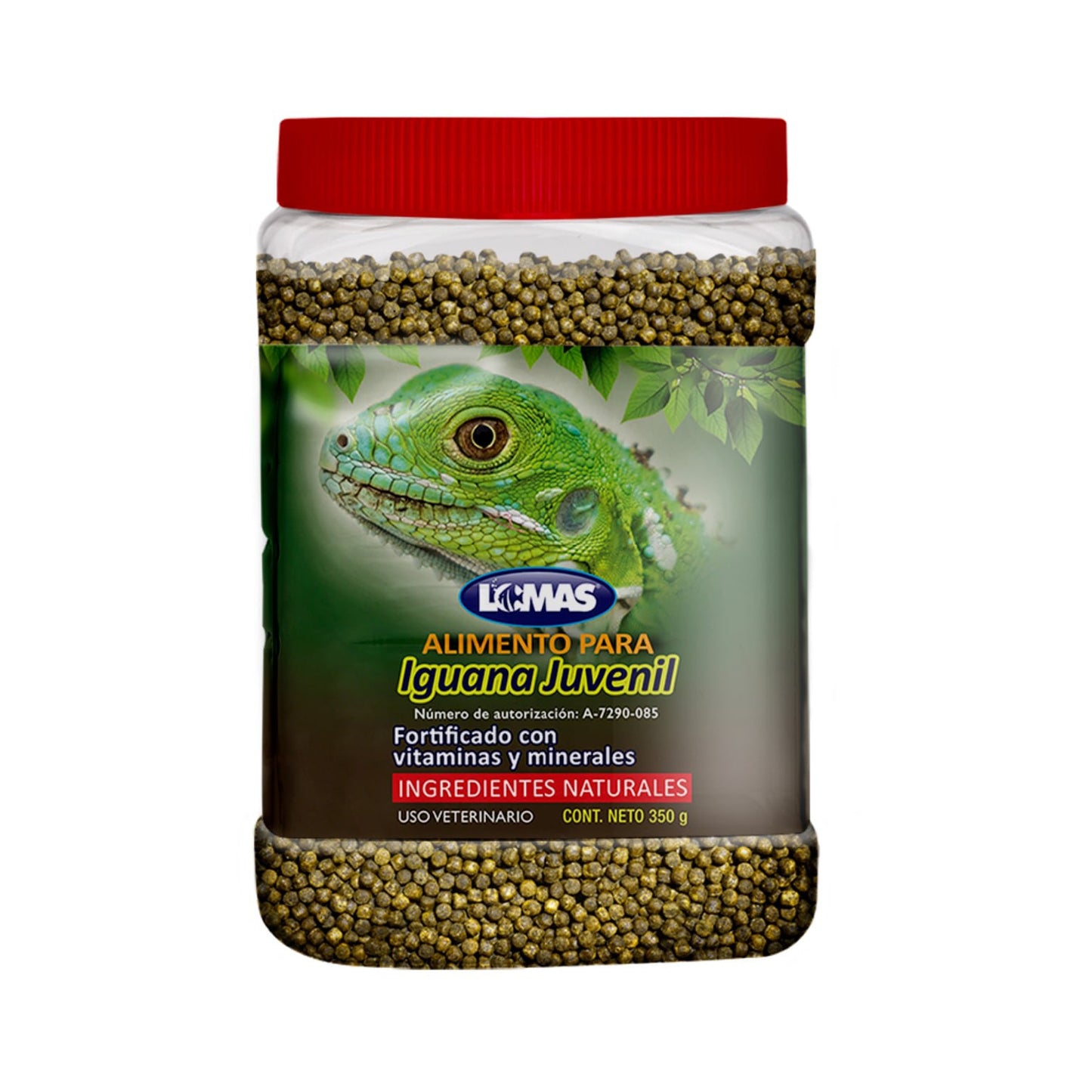 Alimento para Iguana Juvenil
