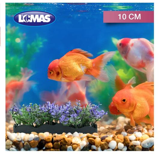 JARDINERA DE PLASTICO 10 CM - 4 PZ