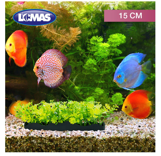 JARDINERA DE PLASTICO 15 CM - 4 PZ