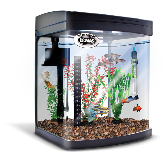 Kit Equipado Acuario Rectangular Negro 35 Lt