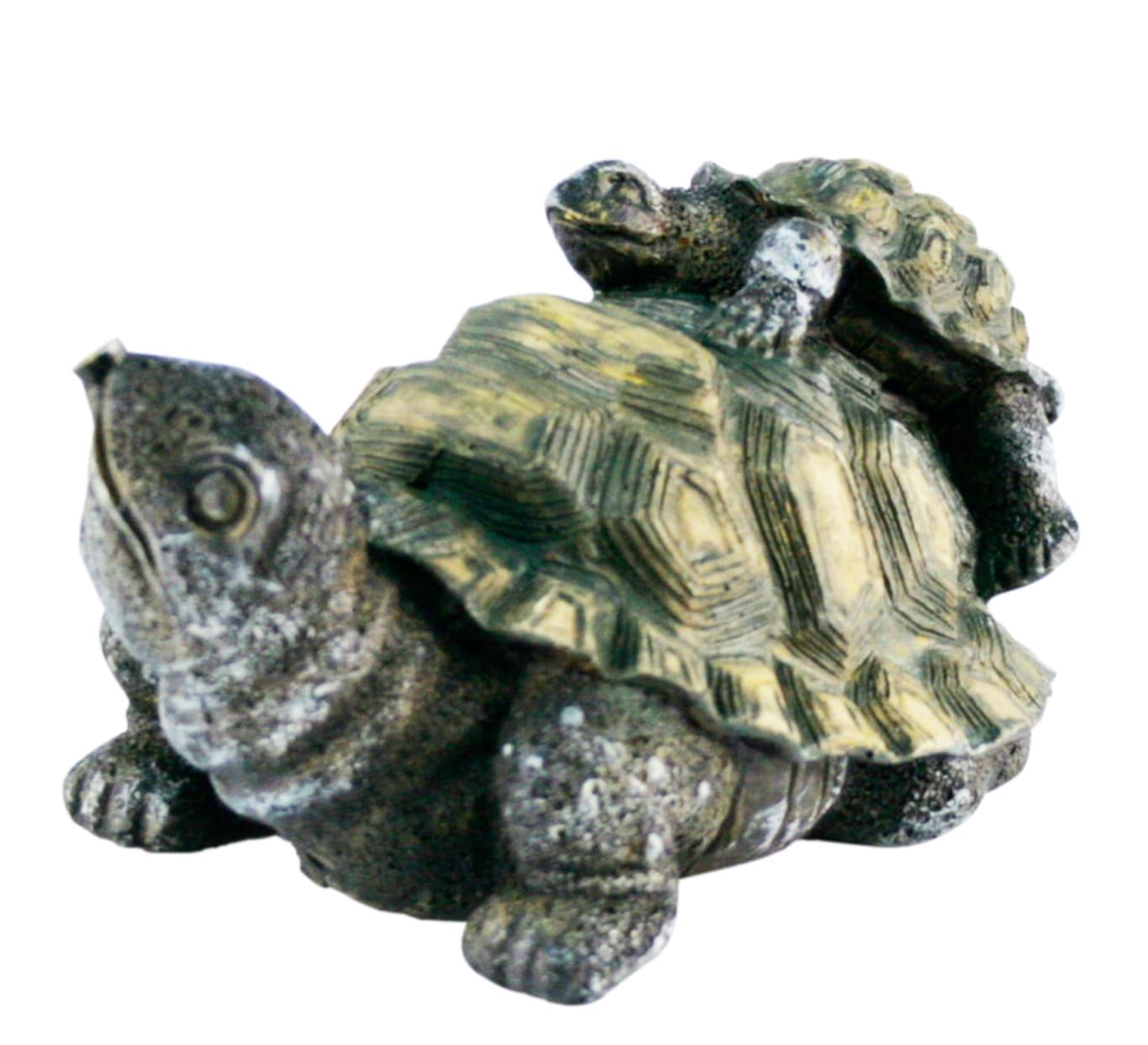 TORTUGA CRIA GDE