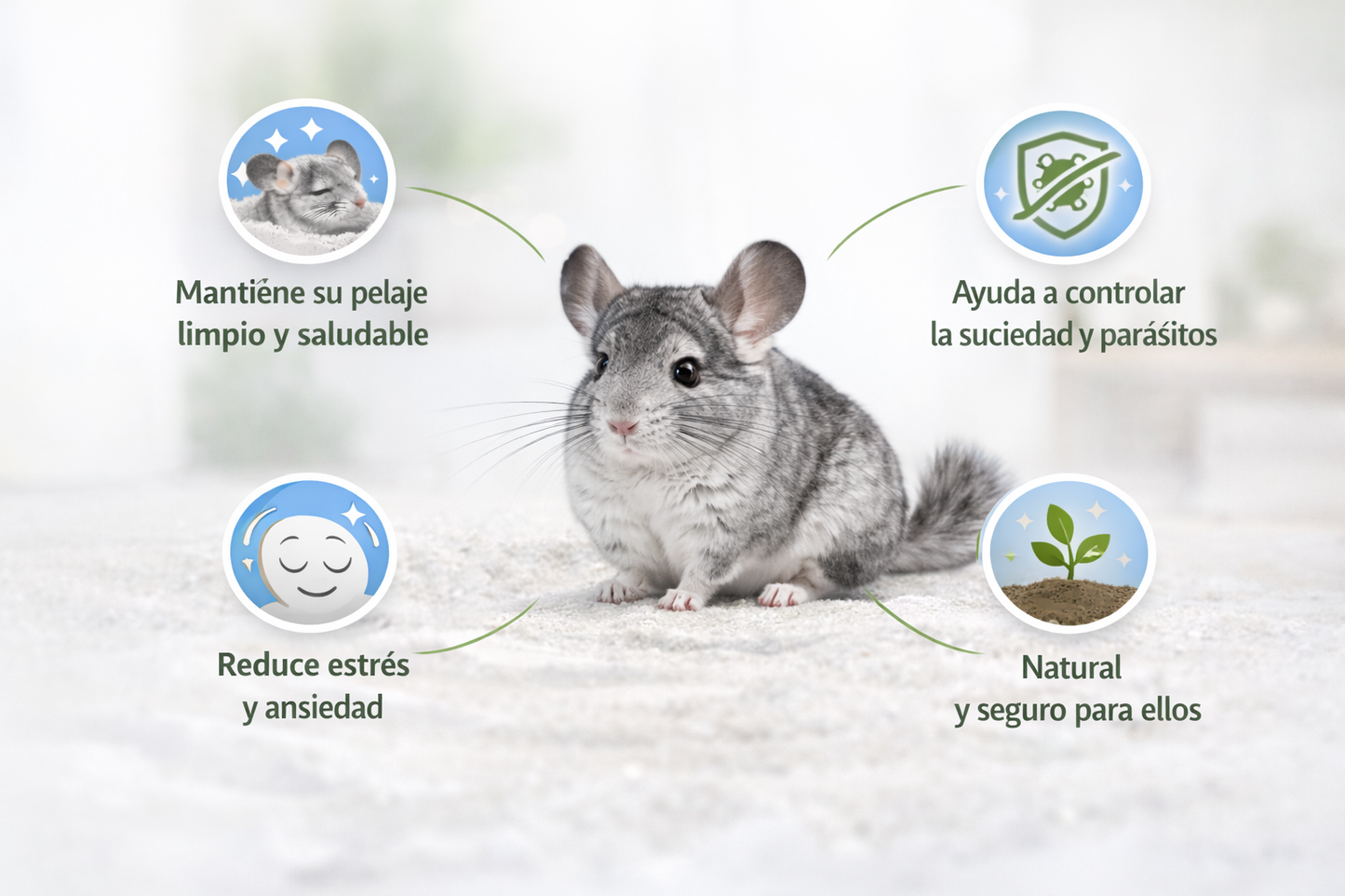 Polvo para Baño de Chinchillas y Roedores
