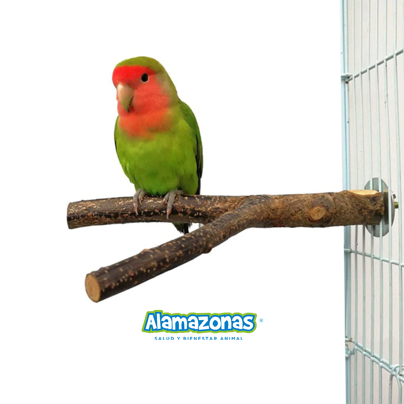 Palo Paradero Percha Natural Horquilla Madera 15cm Alamazonas®